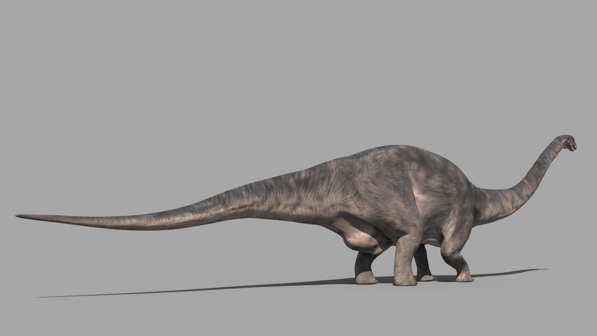 Dino Extra Pack 8K - fully animated 3D model_86