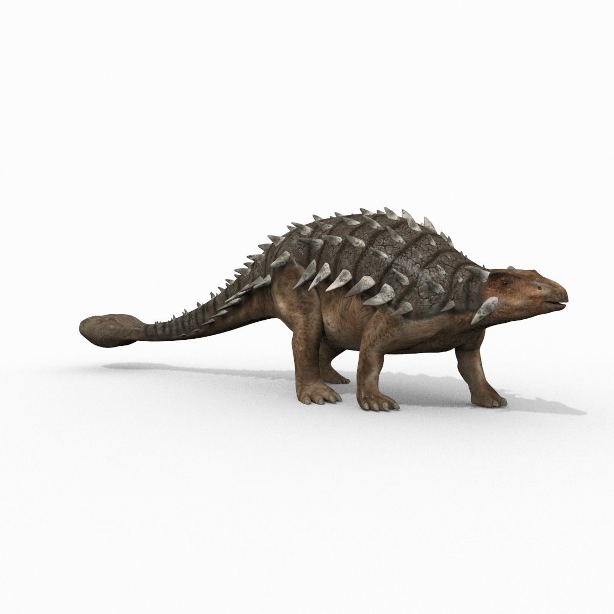Dino Extra Pack 8K - fully animated 3D model_69