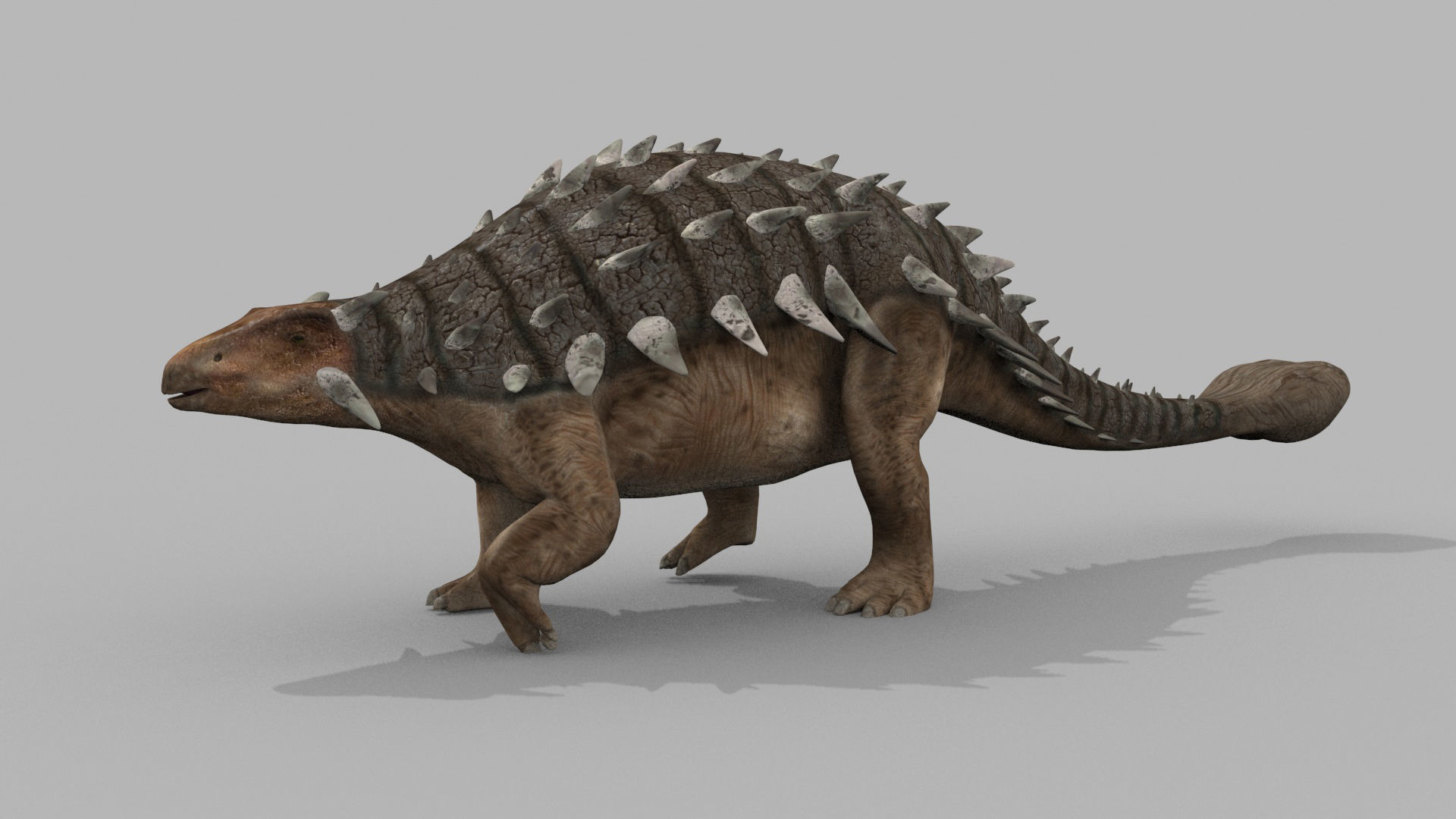 Dino Extra Pack 8K - fully animated 3D model_71