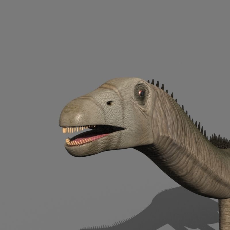 Dino Extra Pack 8K - fully animated 3D model_123