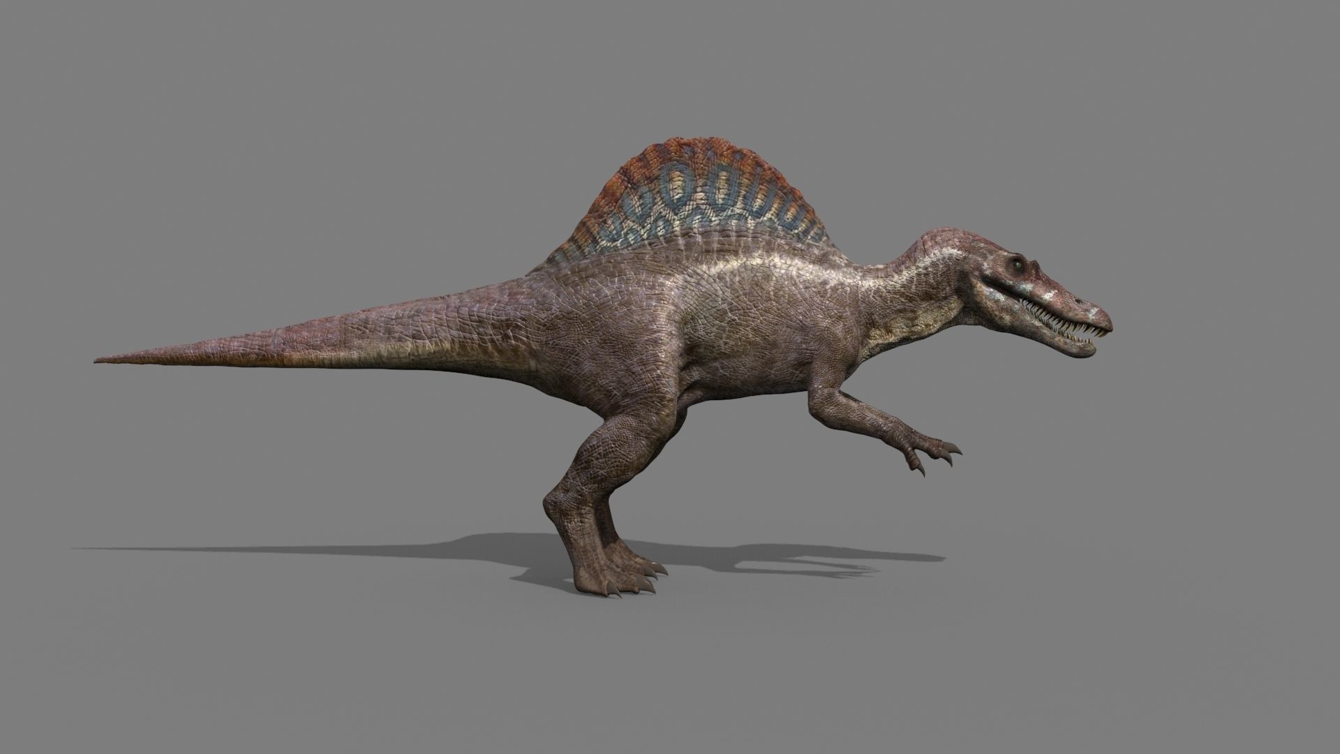 Dino Extra Pack 8K - fully animated 3D model_44