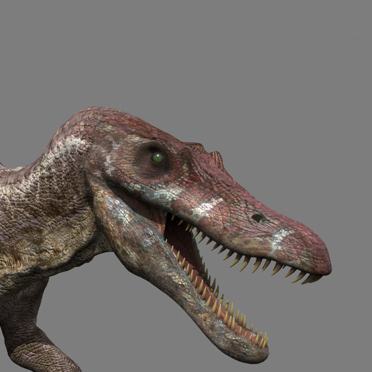 Dino Extra Pack 8K - fully animated 3D model_53