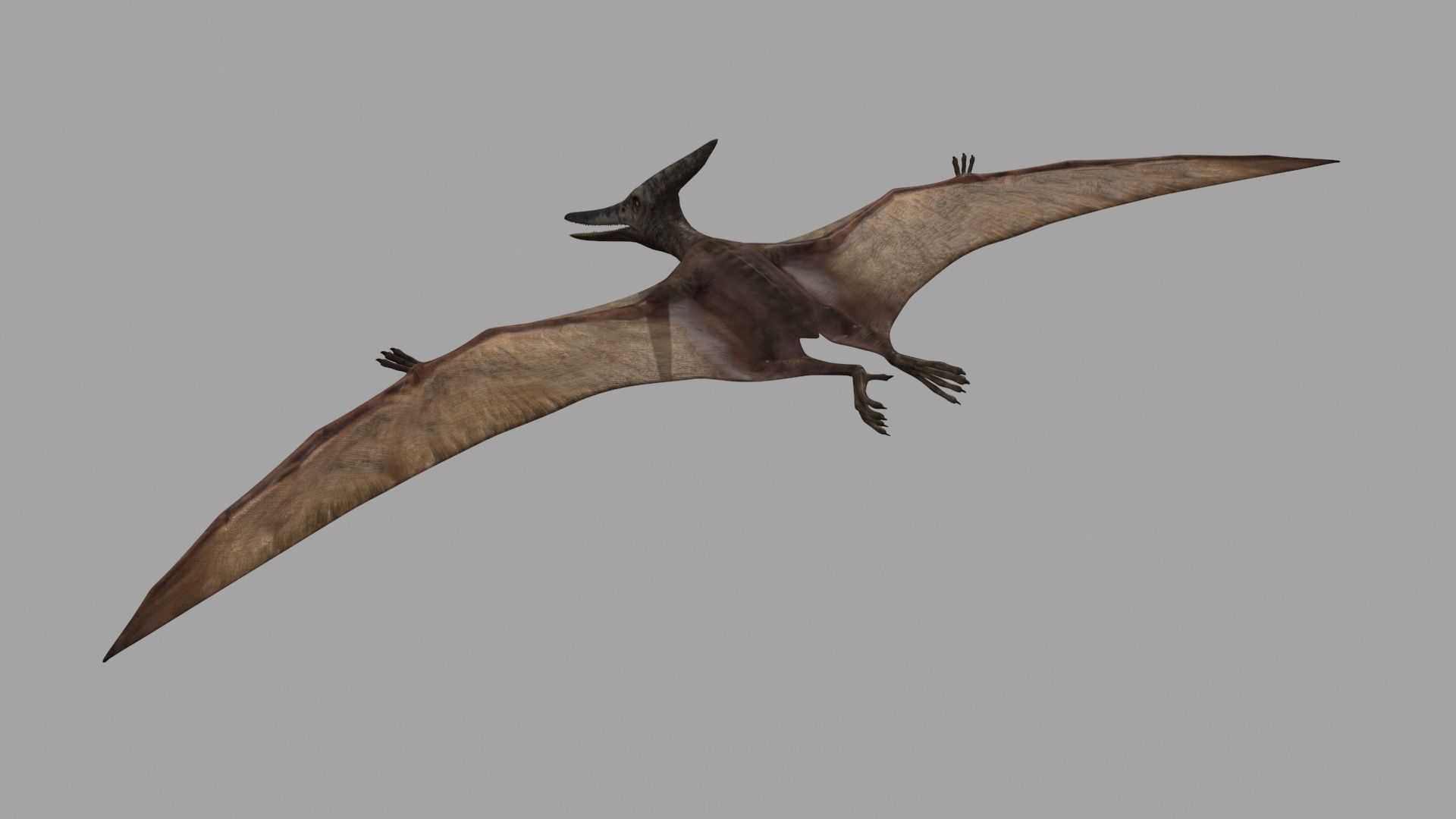 Dino Extra Pack 8K - fully animated 3D model_28