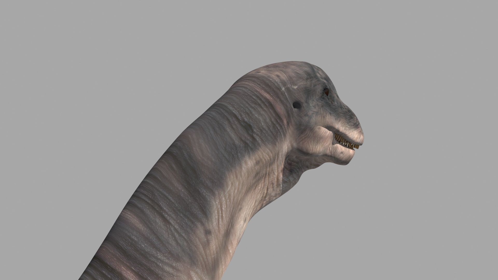 Dino Extra Pack 8K - fully animated 3D model_100