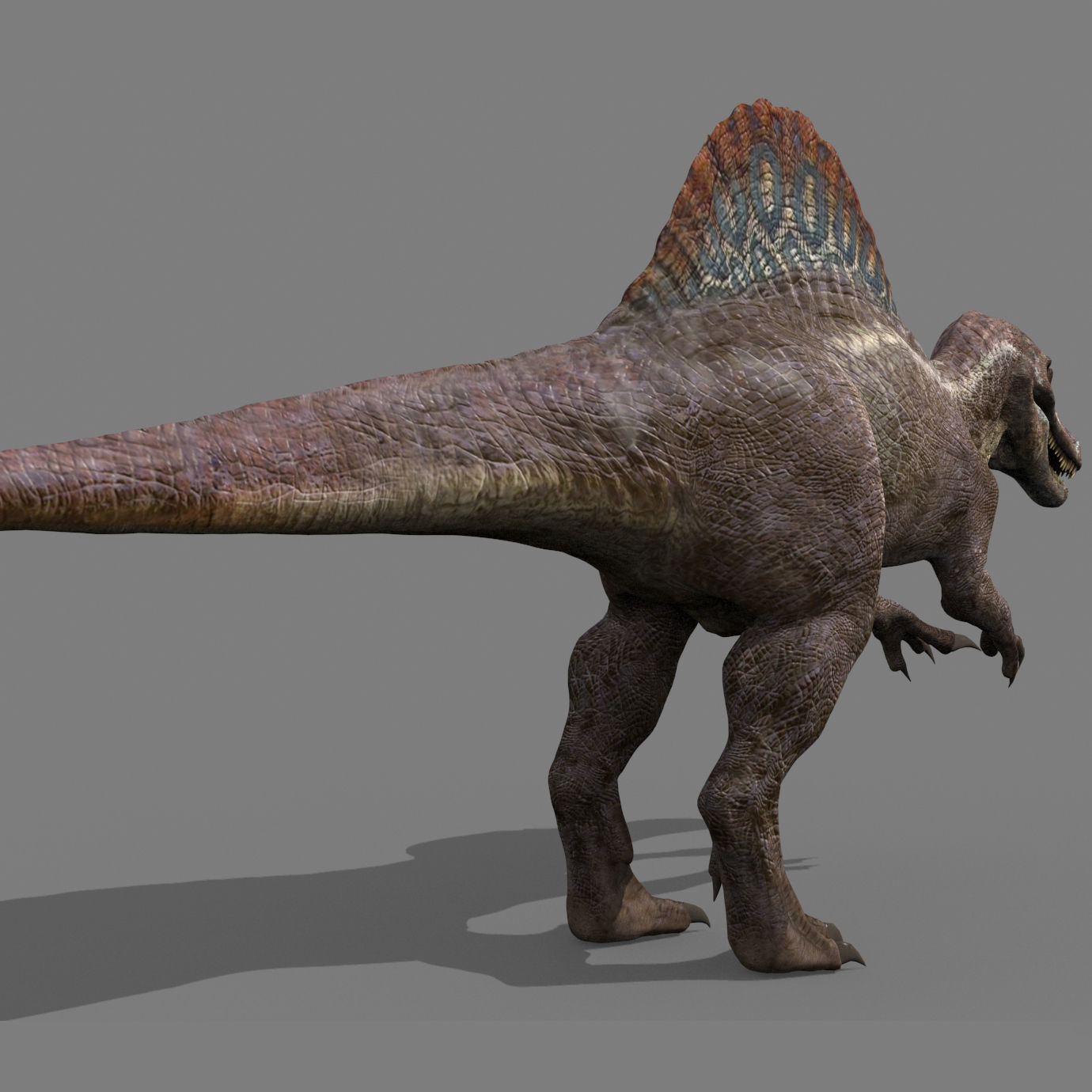 Dino Extra Pack 8K - fully animated 3D model_62