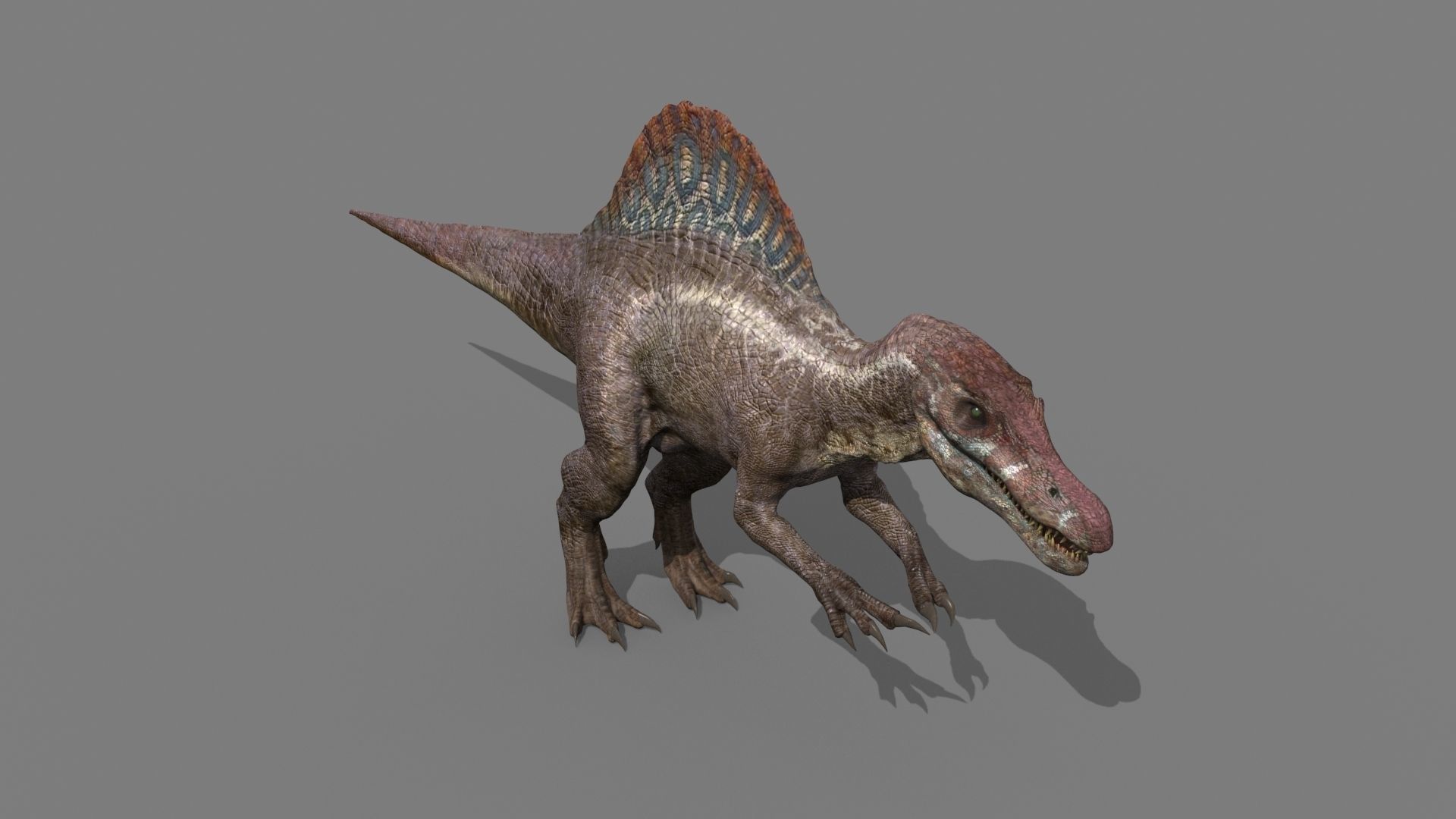 Dino Extra Pack 8K - fully animated 3D model_45