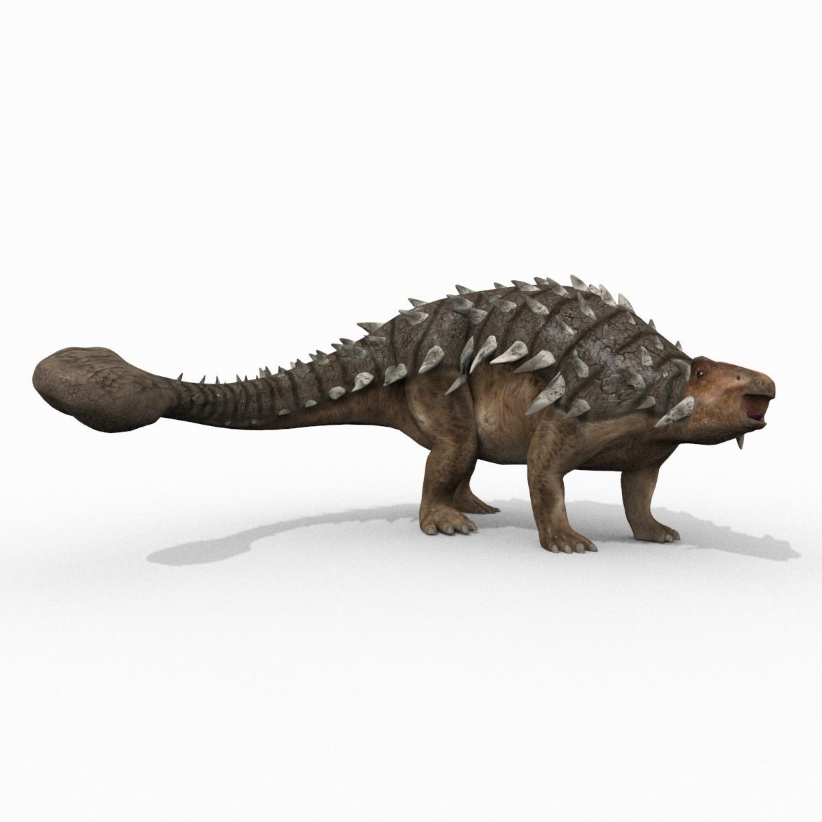 Dino Extra Pack 8K - fully animated 3D model_72