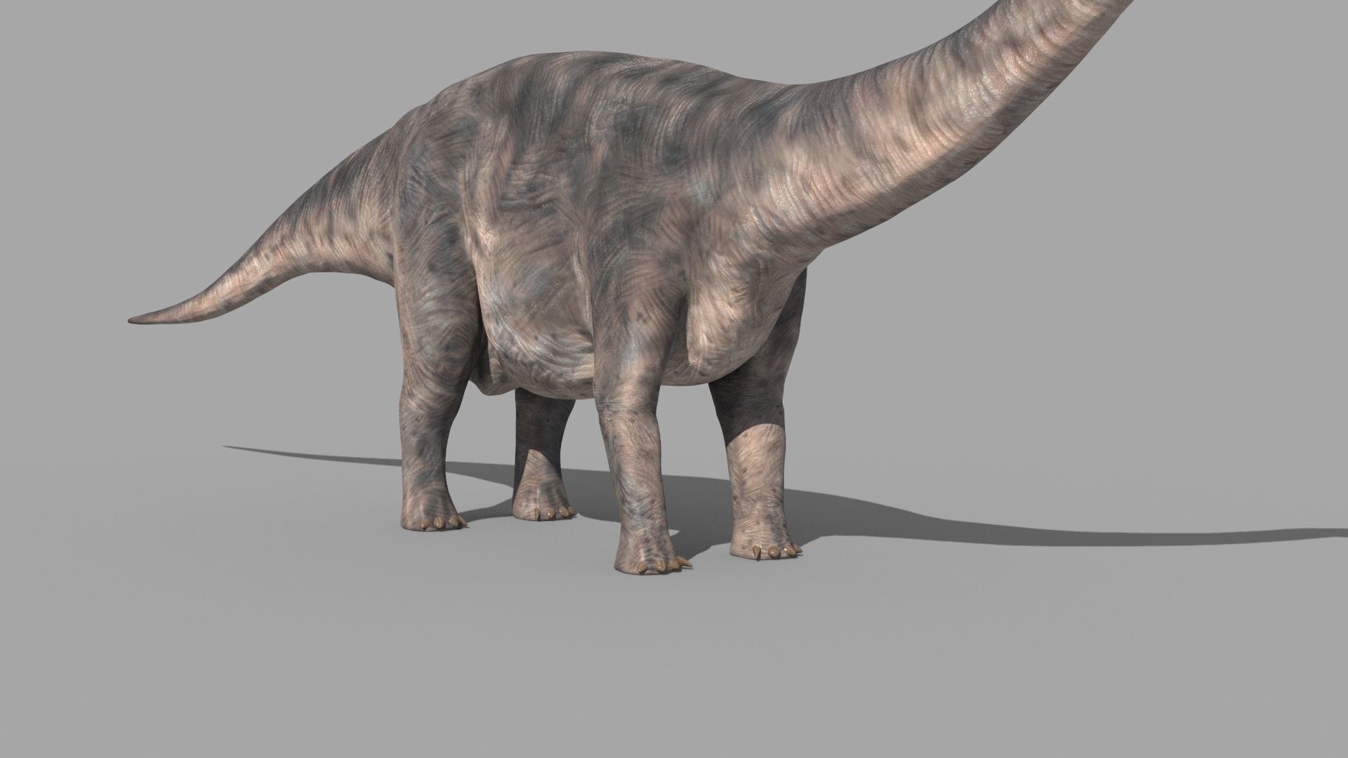 Dino Extra Pack 8K - fully animated 3D model_94
