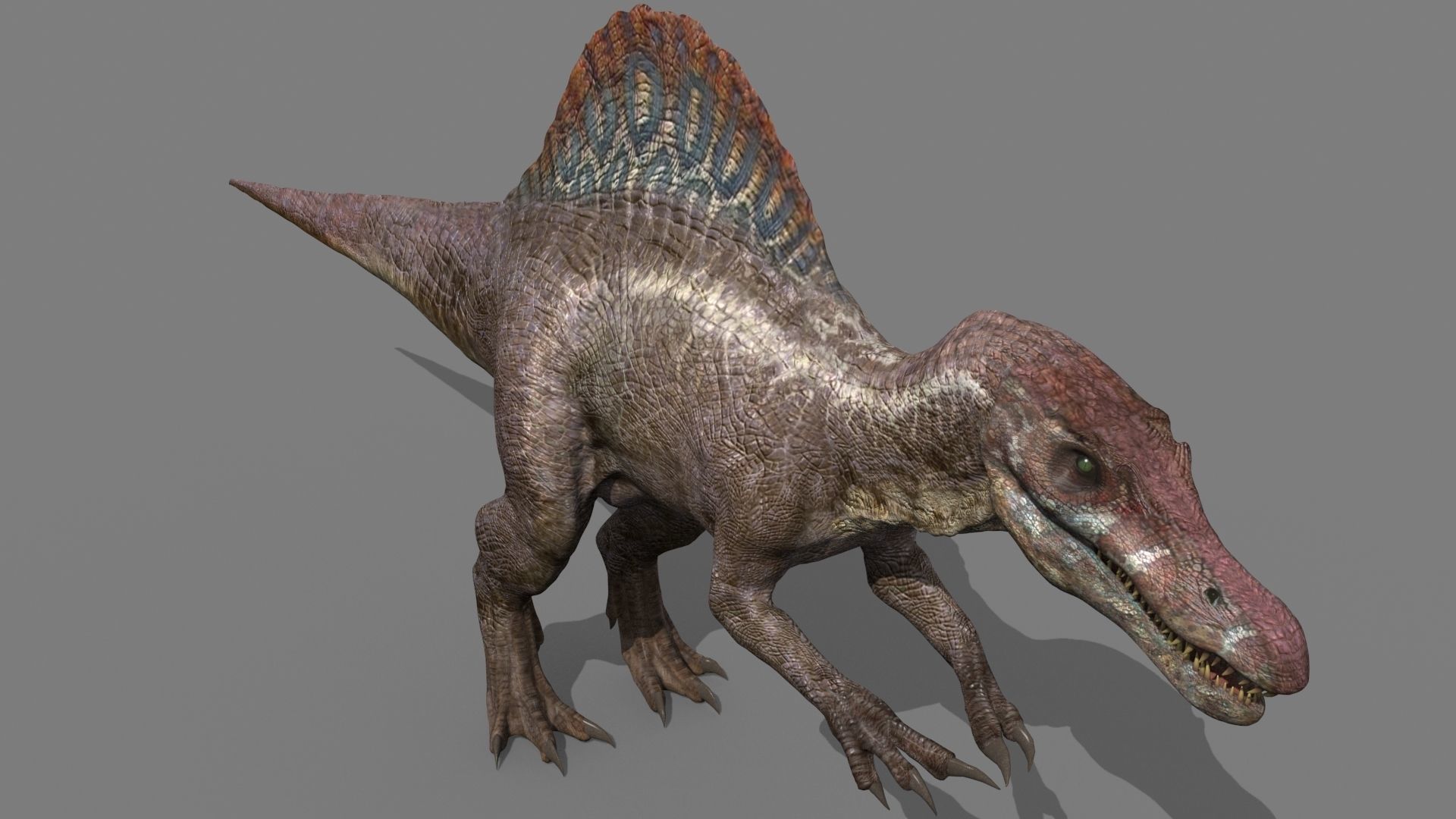 Dino Extra Pack 8K - fully animated 3D model_48