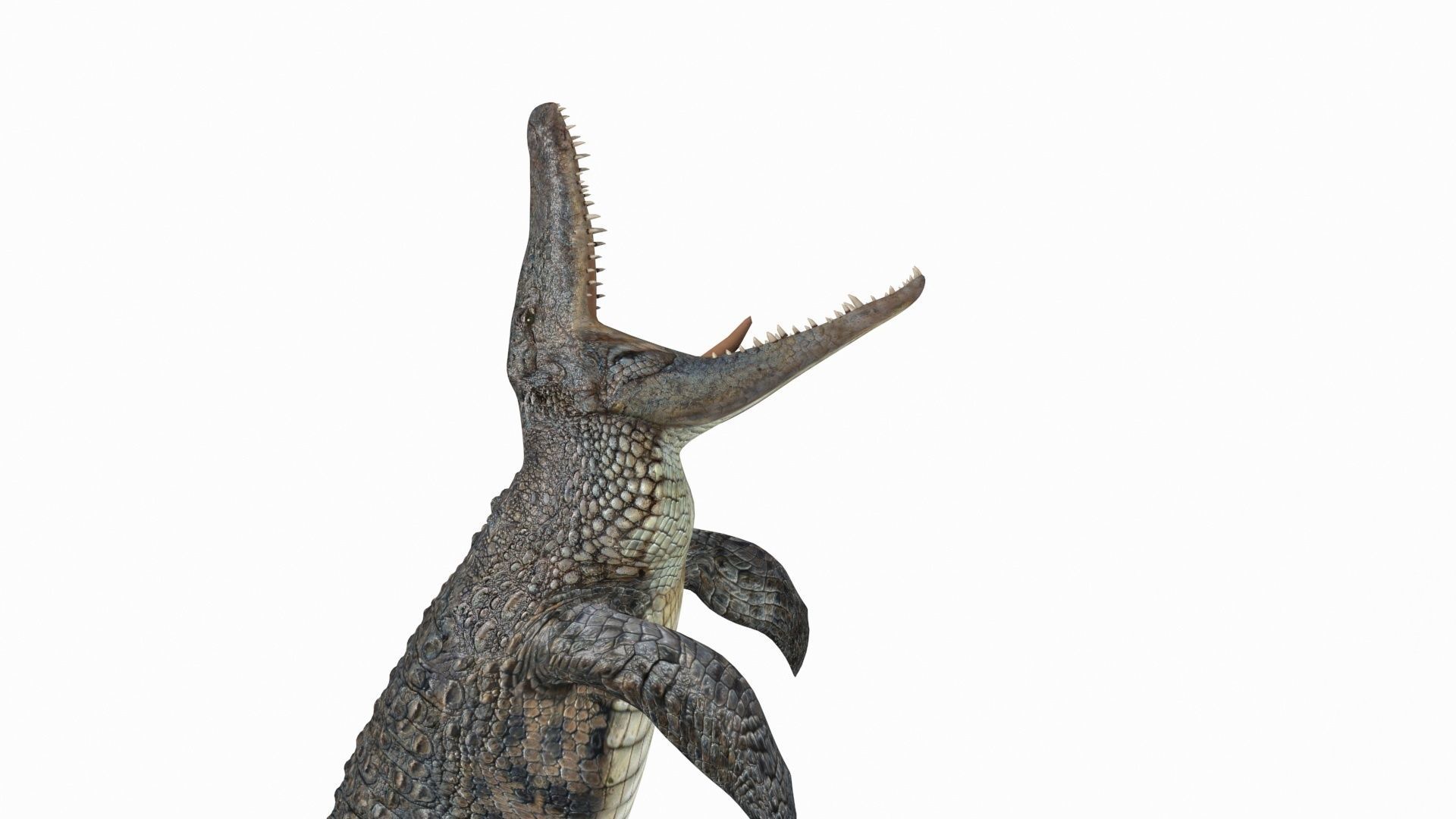 Dino Extra Pack 8K - fully animated 3D model_143