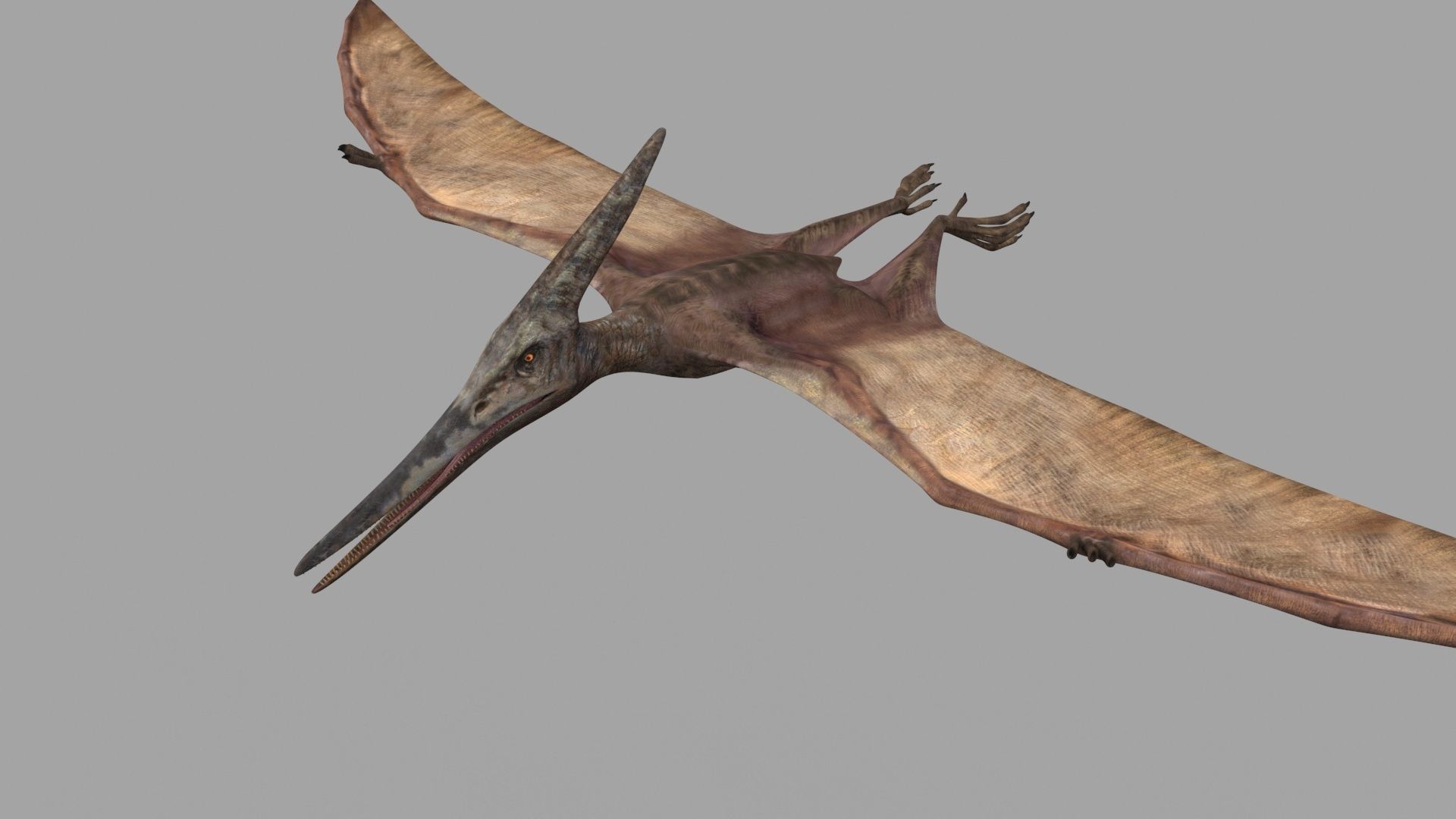 Dino Extra Pack 8K - fully animated 3D model_31