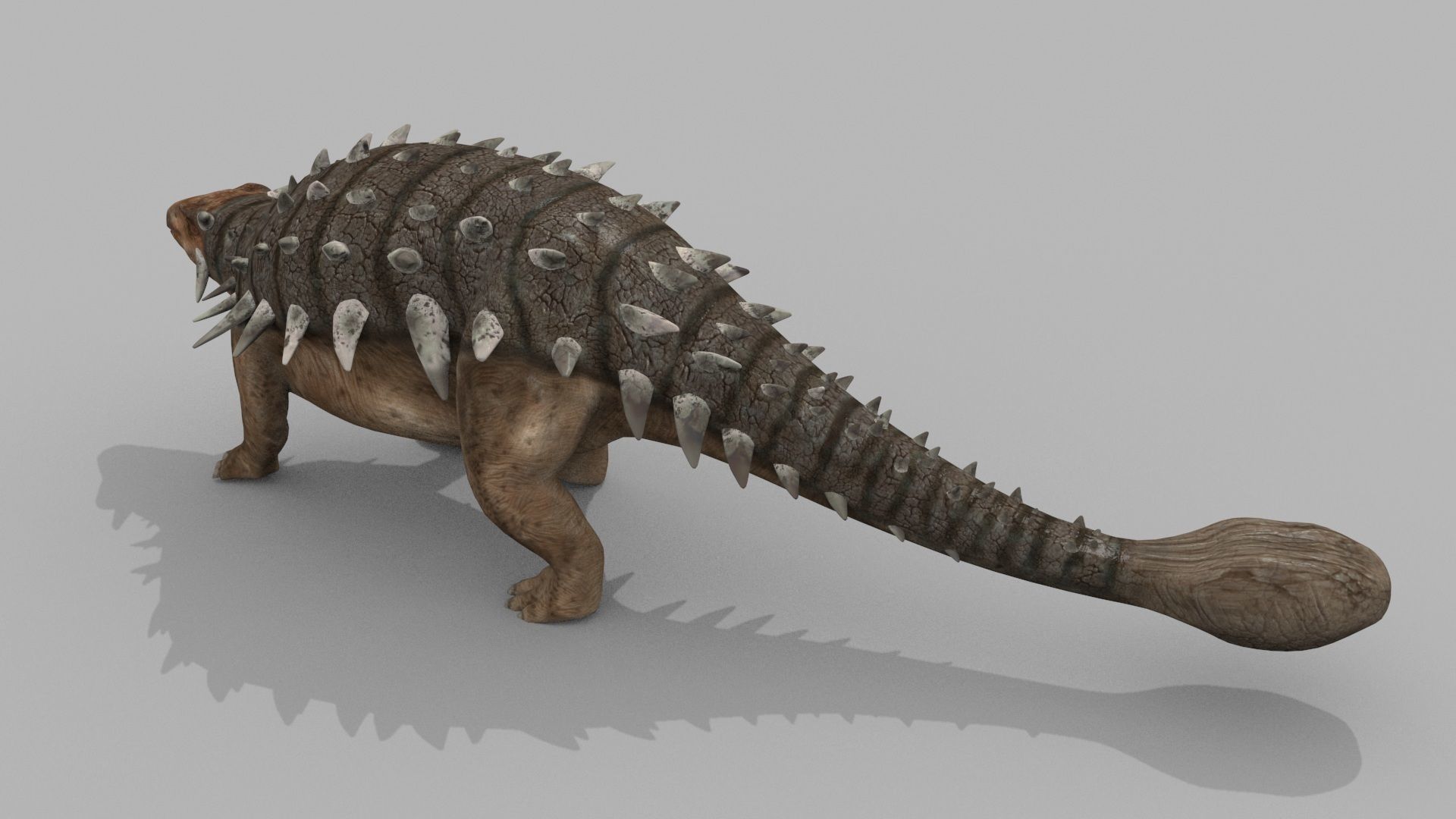 Dino Extra Pack 8K - fully animated 3D model_81