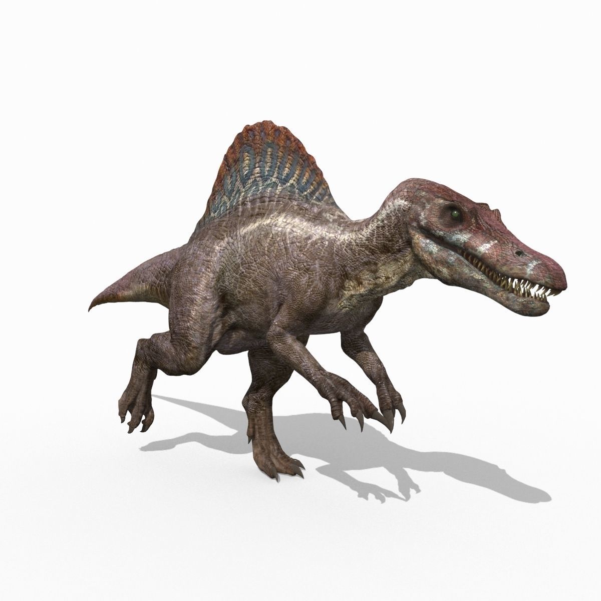 Dino Extra Pack 8K - fully animated 3D model_52