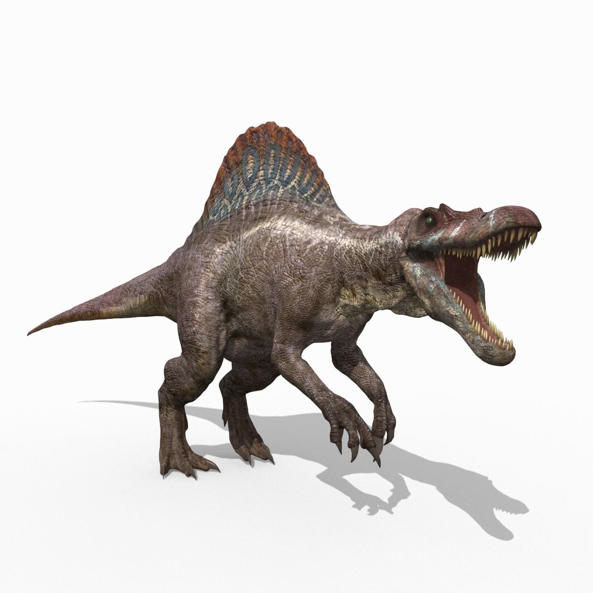 Dino Extra Pack 8K - fully animated 3D model_51
