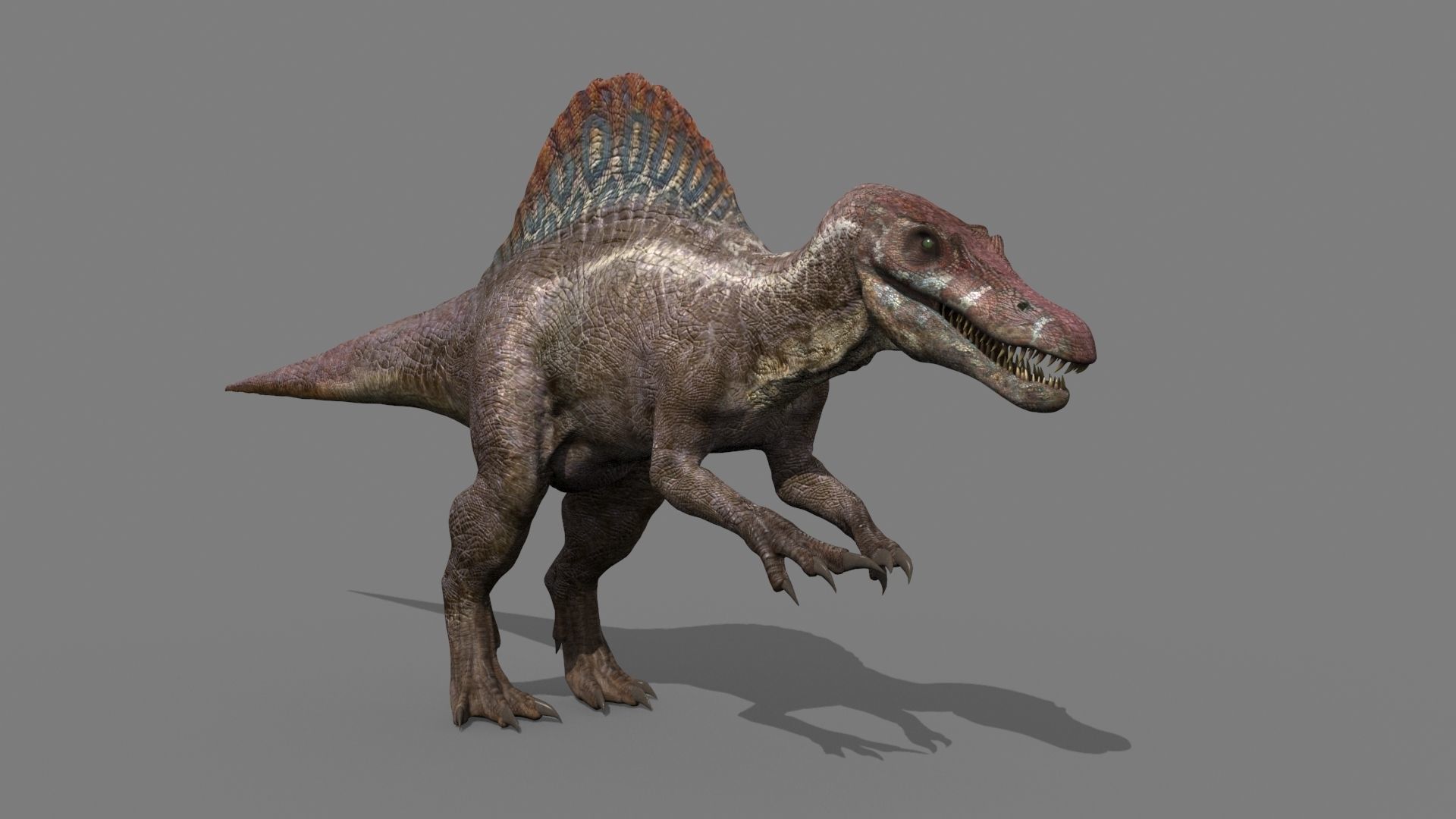 Dino Extra Pack 8K - fully animated 3D model_60