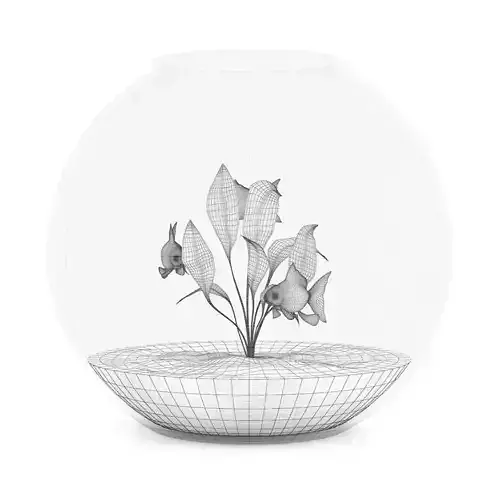 Small Spherical Aquarium