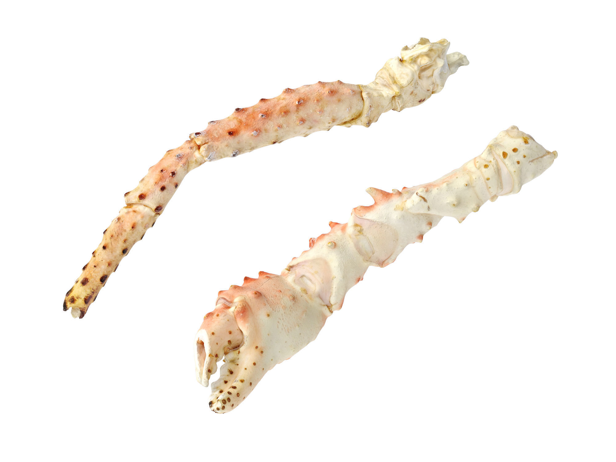 King Crab Legs and Claws 3D model_8