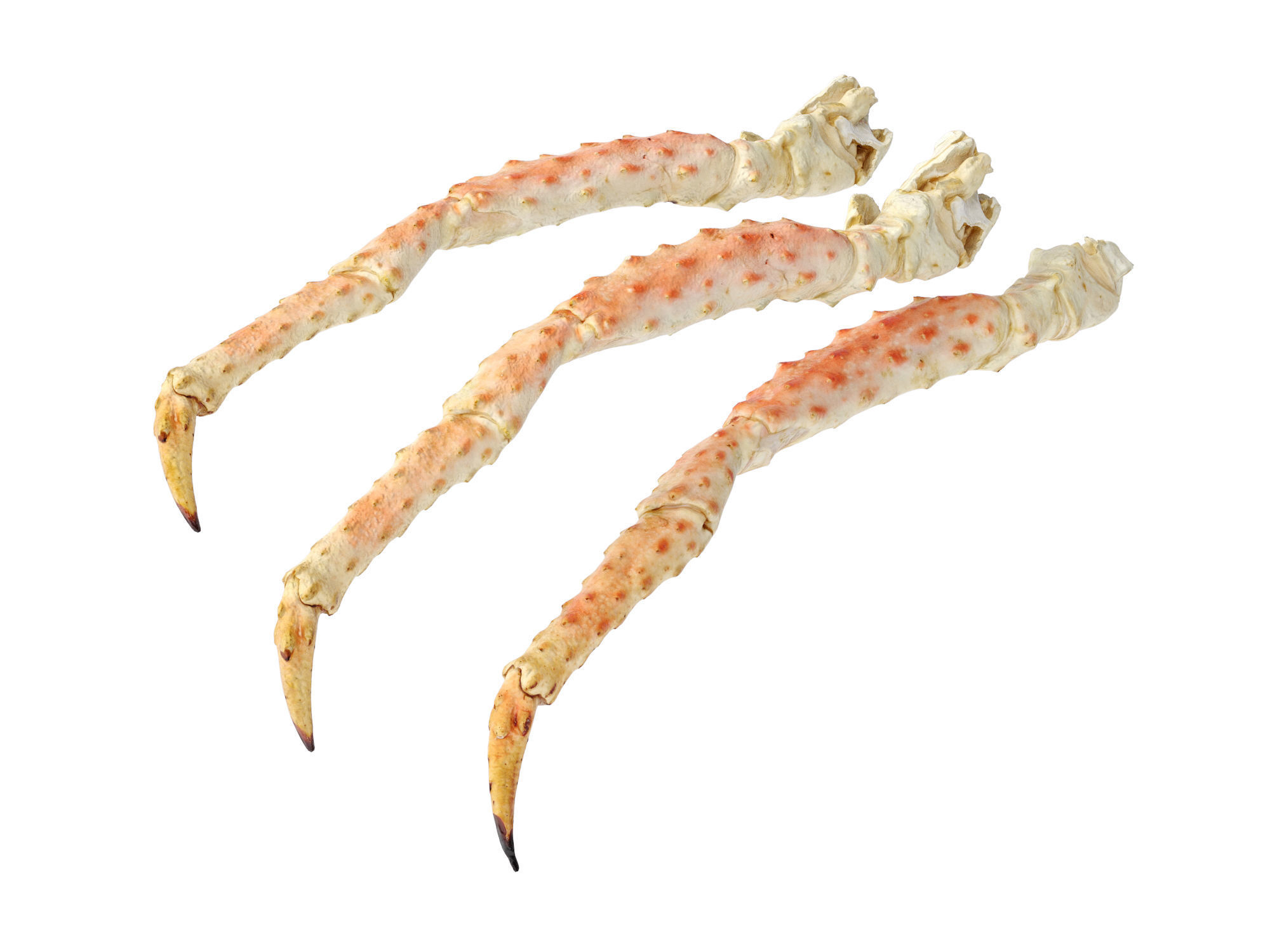 King Crab Legs and Claws 3D model_5
