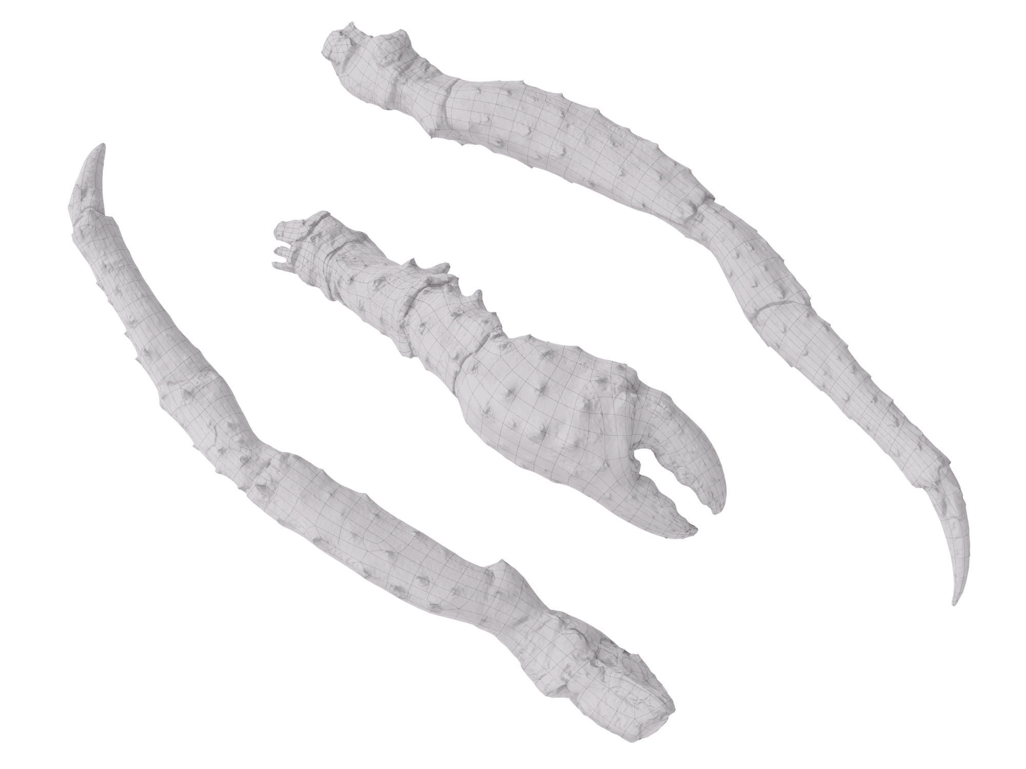 King Crab Legs and Claws 3D model_9