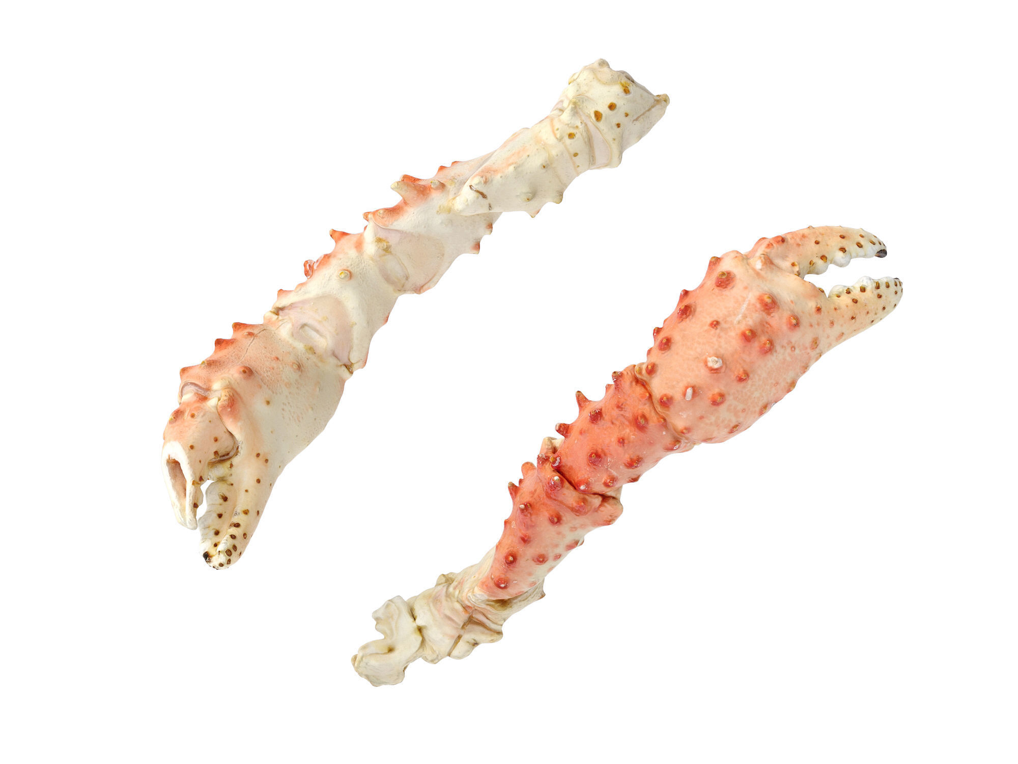 King Crab Legs and Claws 3D model_4