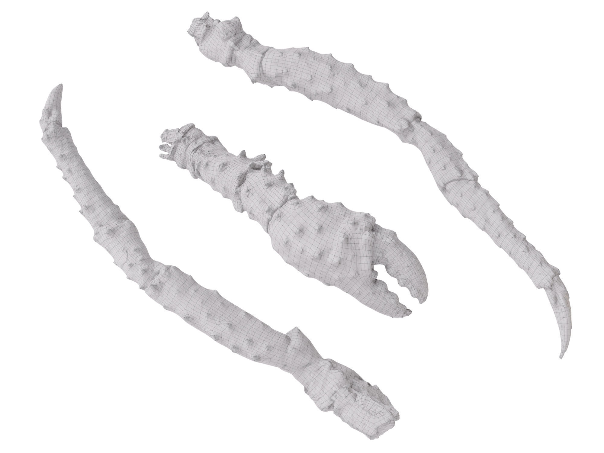King Crab Legs and Claws 3D model_10