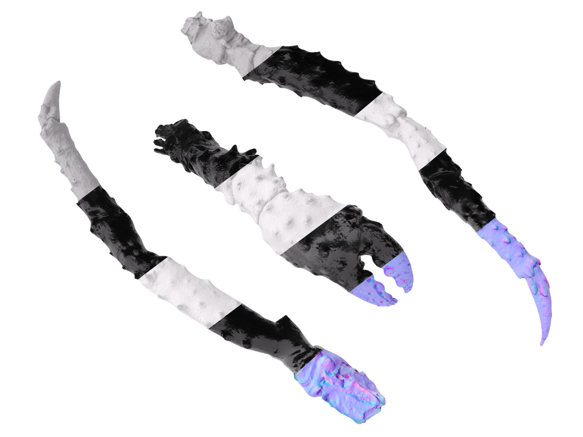 King Crab Legs and Claws 3D model_12