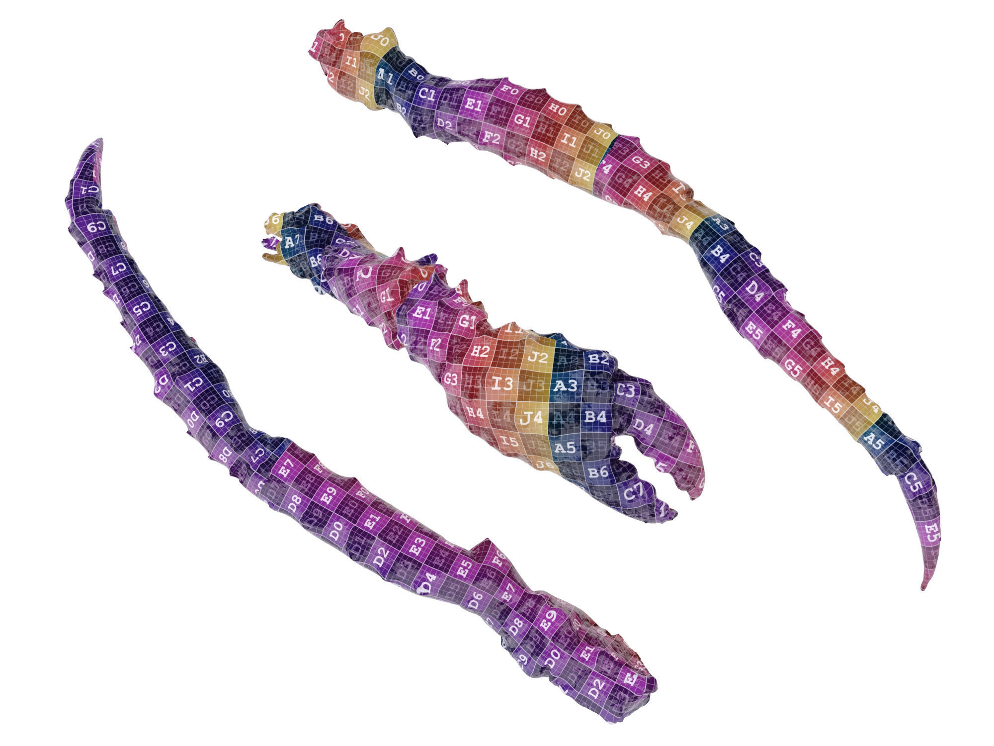 King Crab Legs and Claws 3D model_11