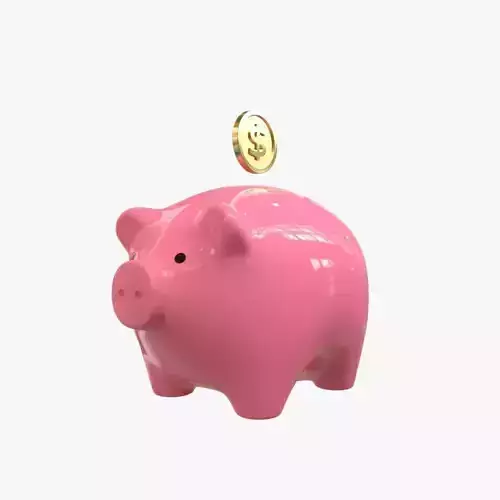 Piggy Bank and Coin