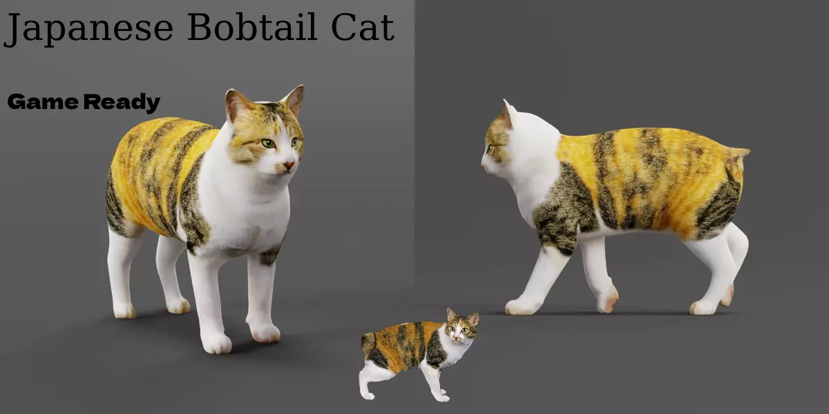 Japanese Bobtail Cat Low-poly 3D model
