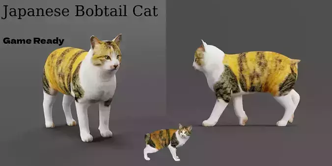 Japanese Bobtail Cat Low-poly 3D model