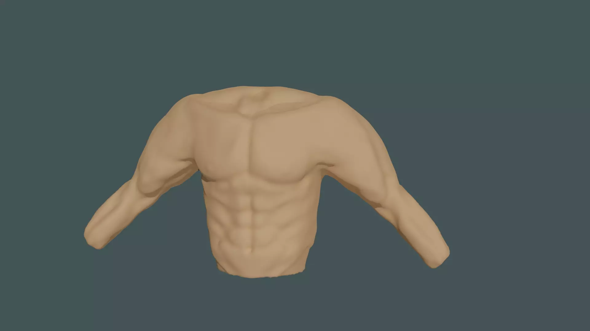 Male torso anotomy 3D model