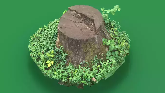 Tree stump 3D model for game or film use obj  gltf  usdz  3D model