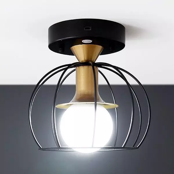 Cage sensor light black gold 3D model_0