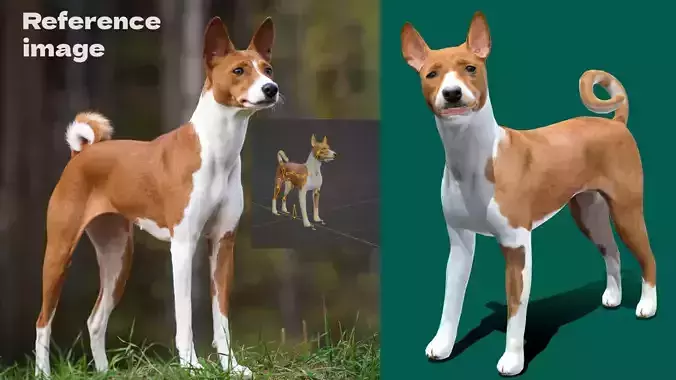 Basenji Dog Low-poly 3D model