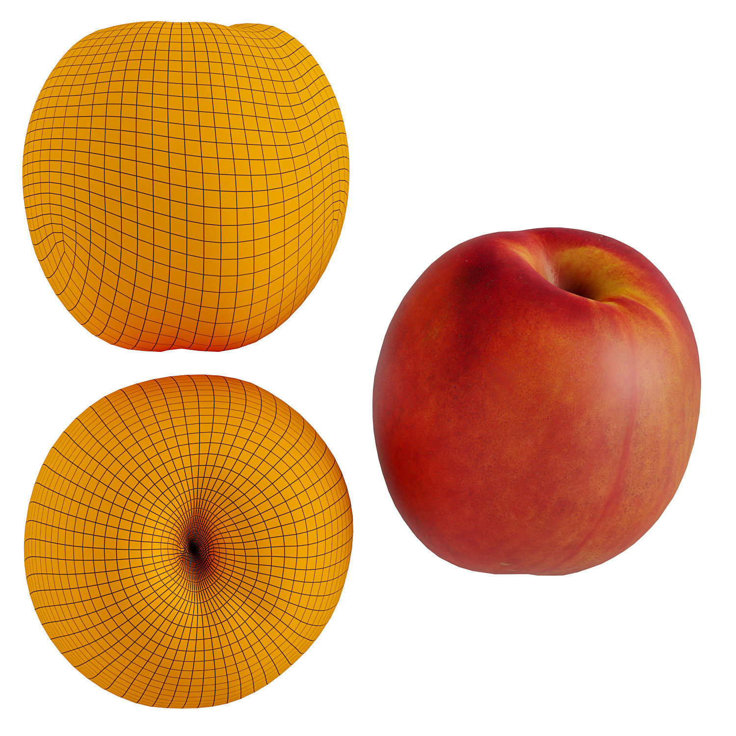 Nectar plate 3D model_4