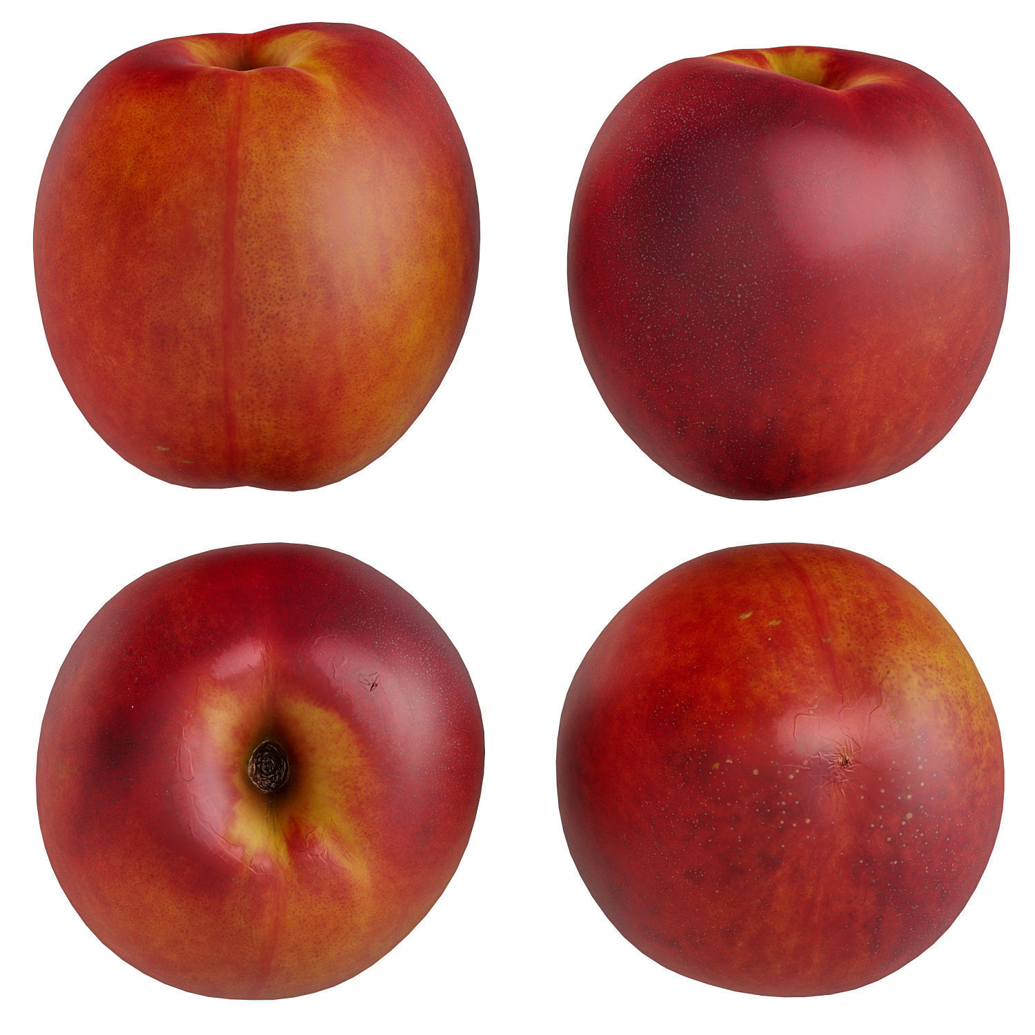 Nectar plate 3D model_1