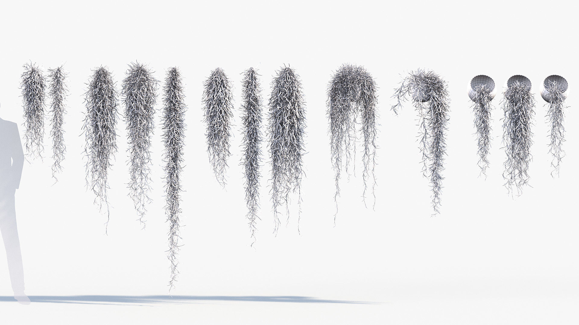 Tillandsia usneoides Spanish moss 01 3D model_8
