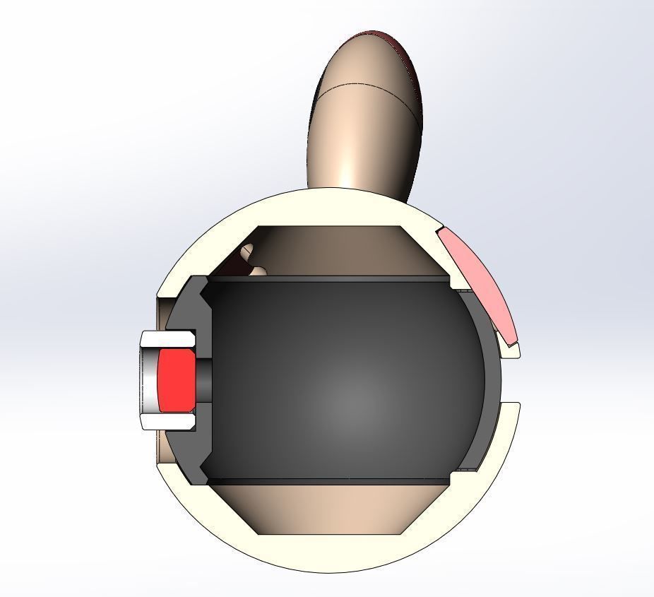 Spinda orb 3D print model_23