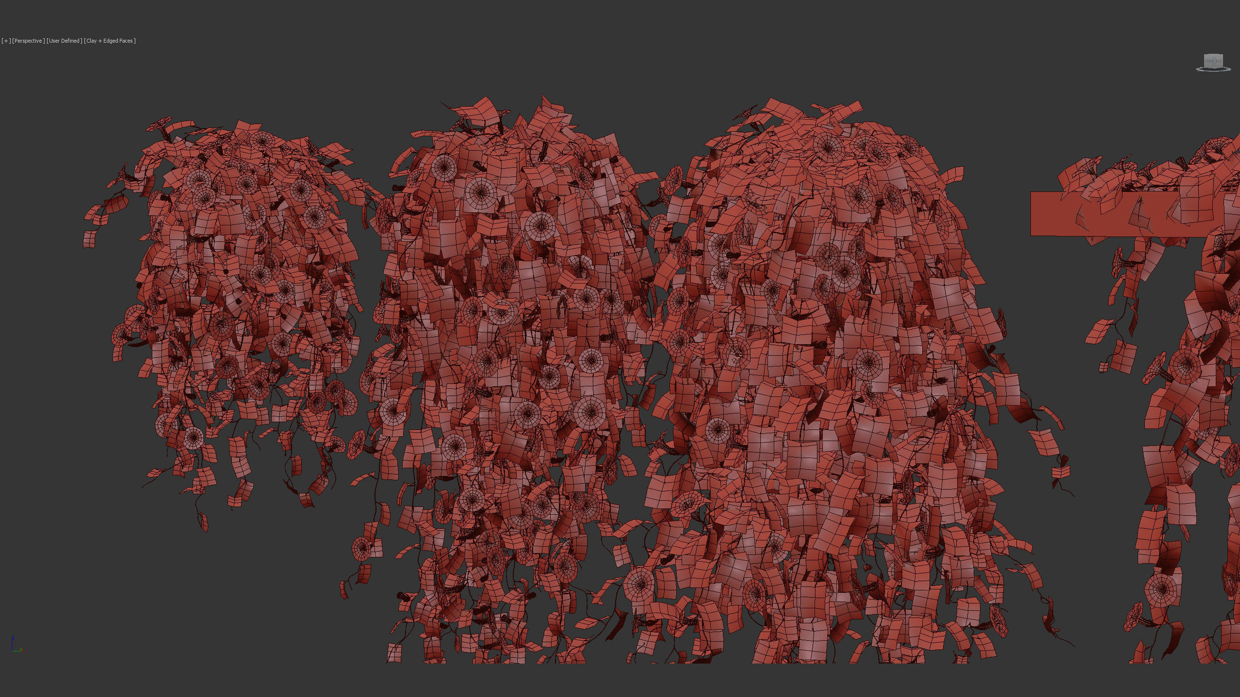 Morning glory Ipomoea purpurea 01 3D model_15