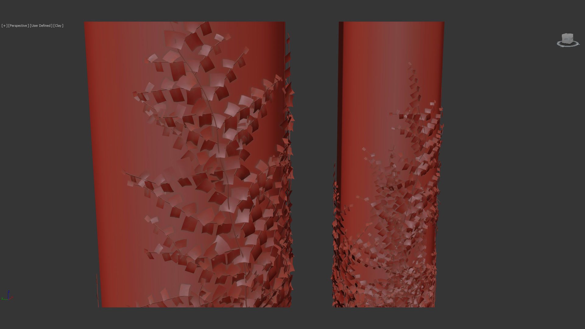 Ficus pumila Climbing Fig 01 3D model_13