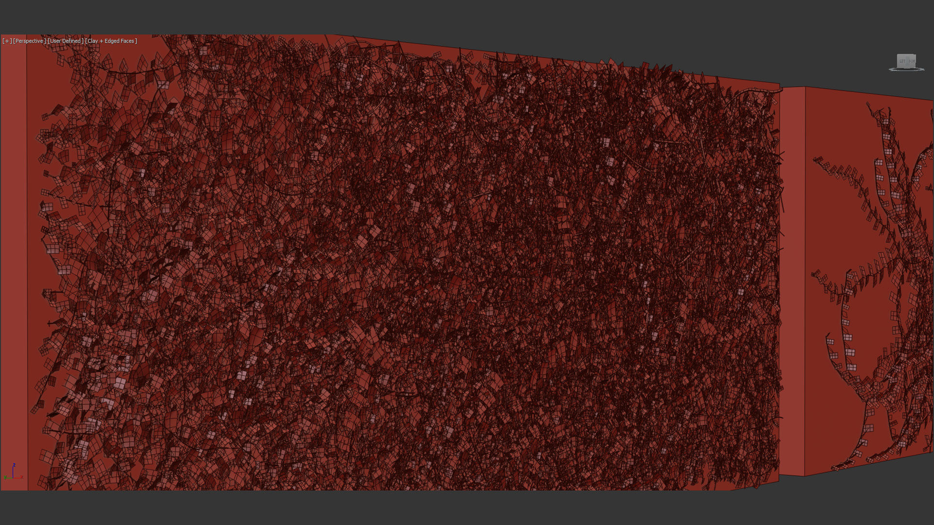 Ficus pumila Climbing Fig 01 3D model_10