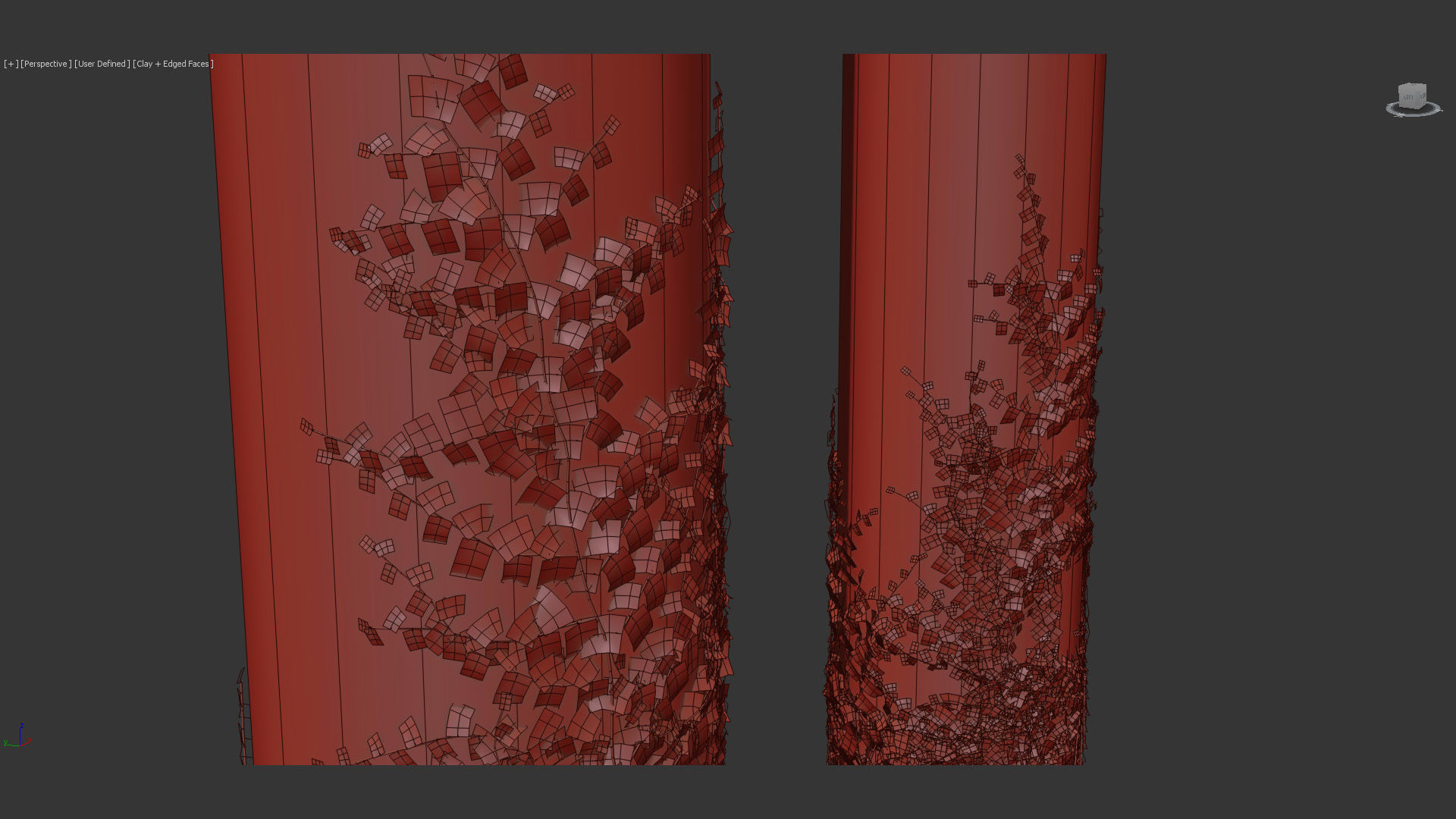 Ficus pumila Climbing Fig 01 3D model_14