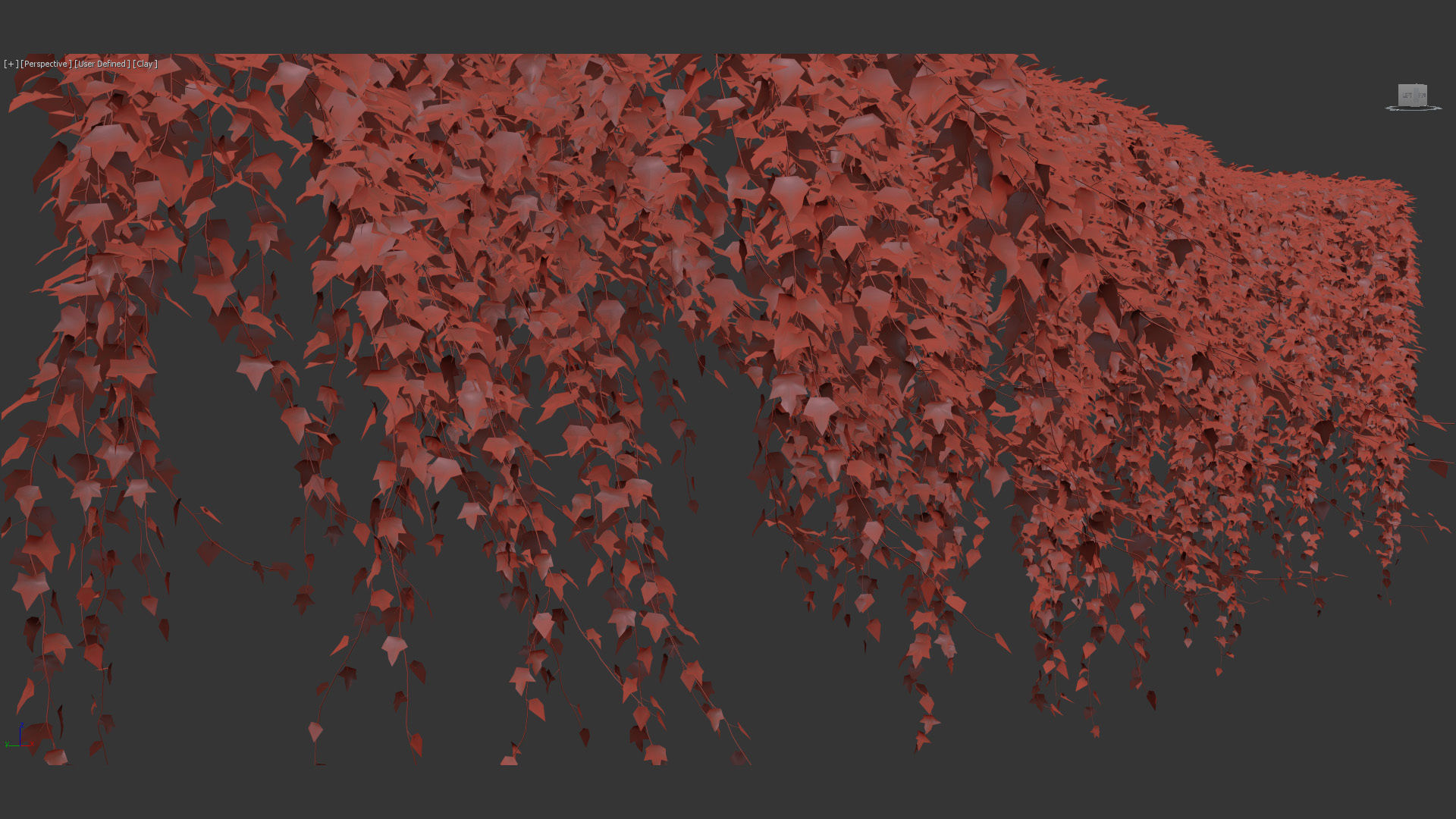 English ivy Hedera helix 02 3D model_13
