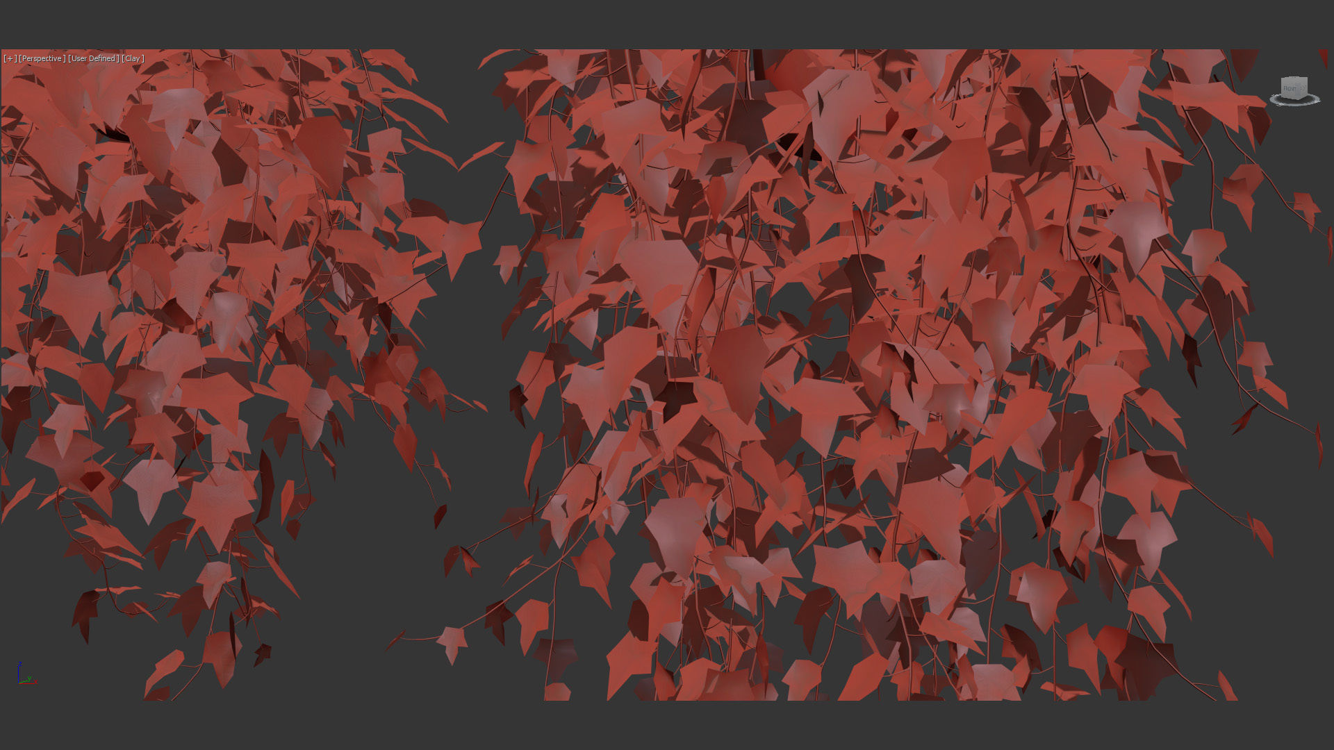 English ivy Hedera helix 01 3D model_13