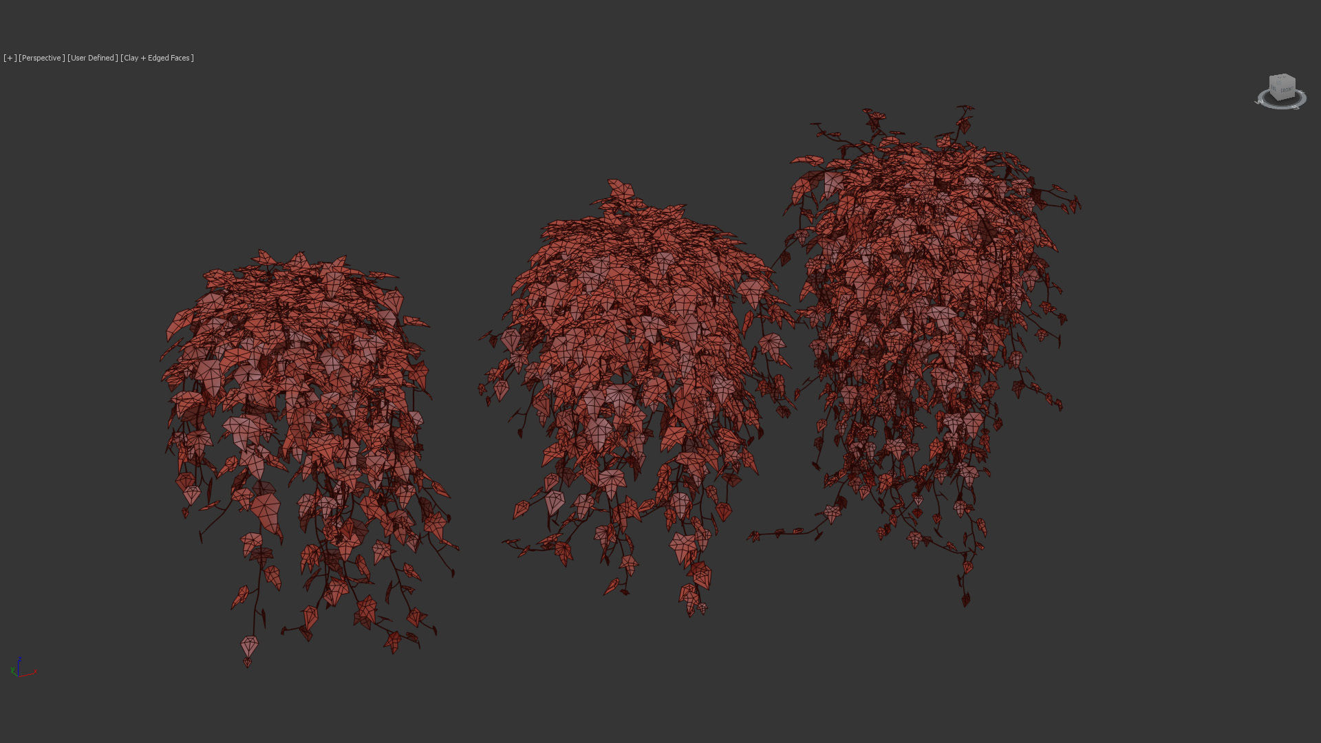 English ivy Hedera helix 01 3D model_10