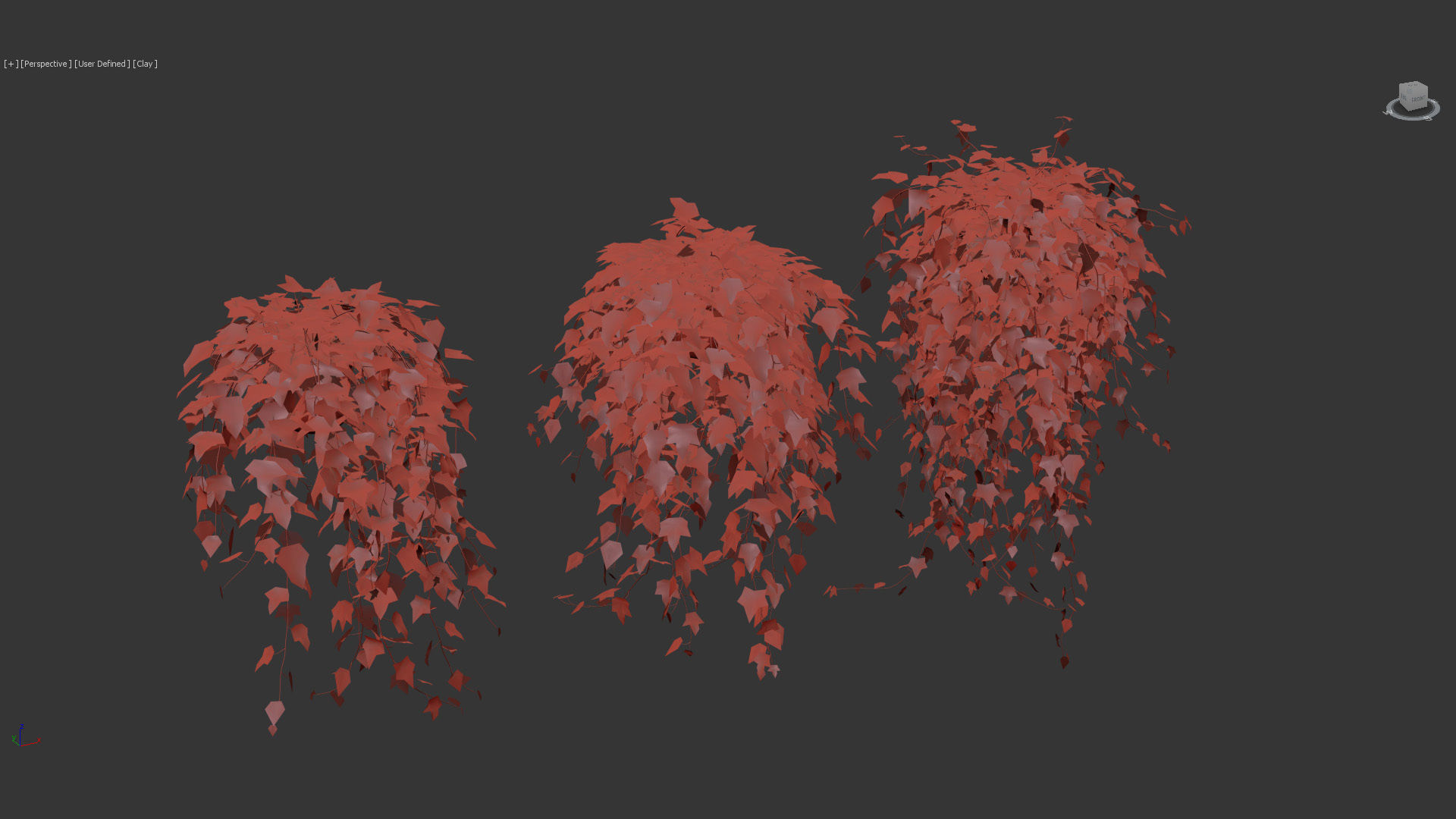 English ivy Hedera helix 01 3D model_9