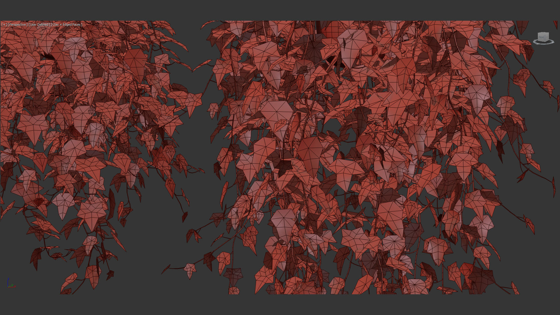 English ivy Hedera helix 01 3D model_14