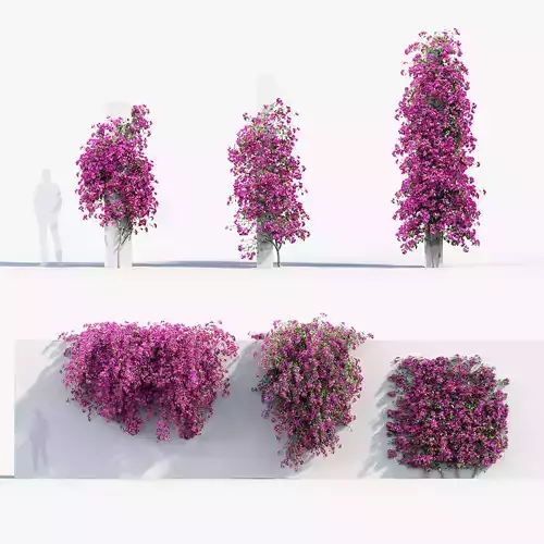 Bougainvillea Paper Flower 02 3D model