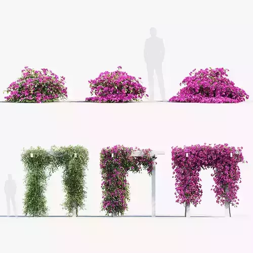 Bougainvillea Paper Flower 01