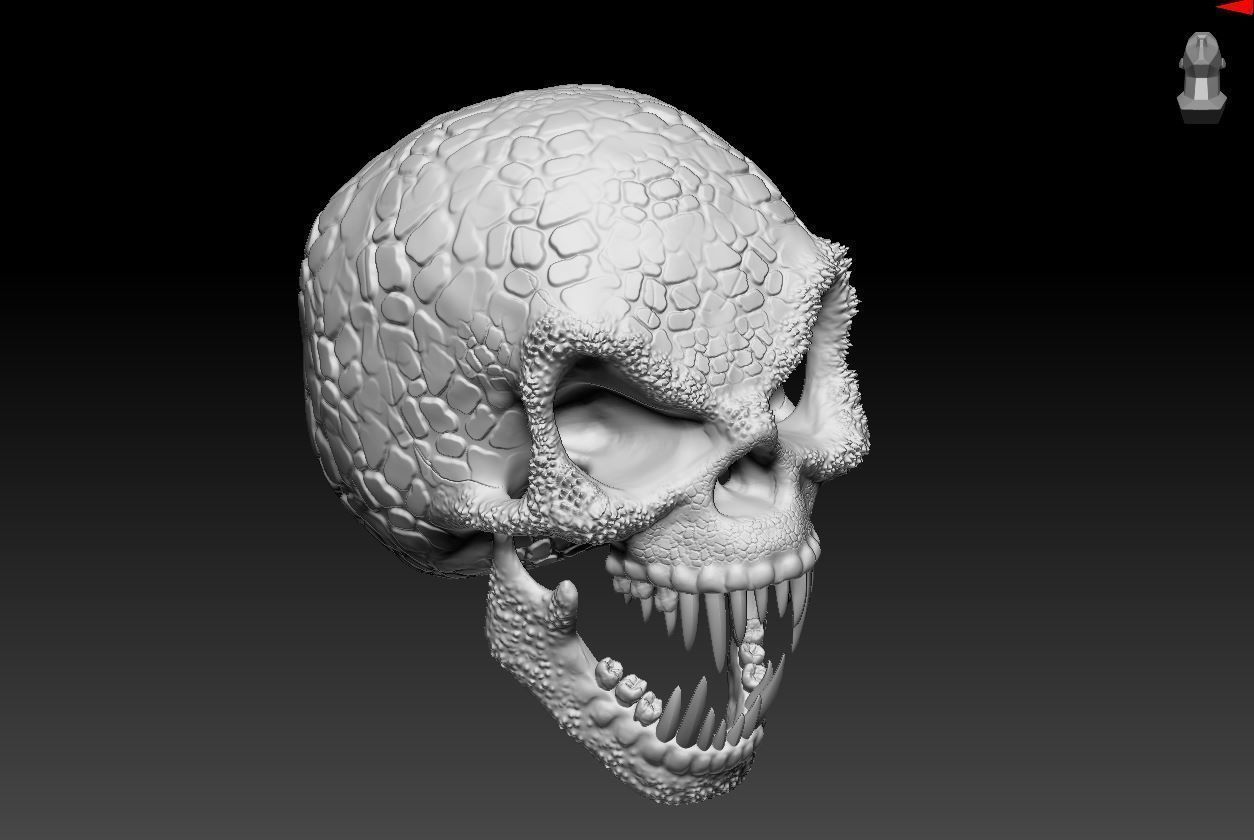 Improvised Tarkatan-like Skull 3D model_1